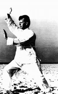 Tai Chi Chuan Posture, 14KB