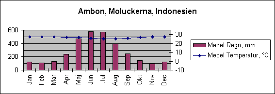 Diagramobjekt Ambon, Moluckerna, Indonesien