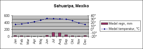 Diagramobjekt Sahuaripa, Mexiko