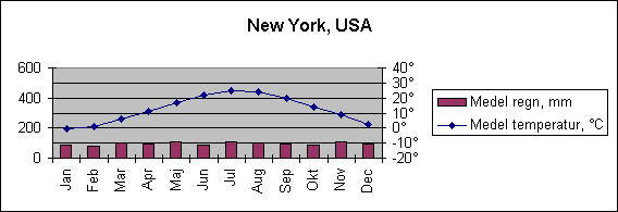 Diagramobjekt New York, USA