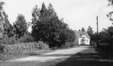 dalvag56.jpg (9784 bytes)