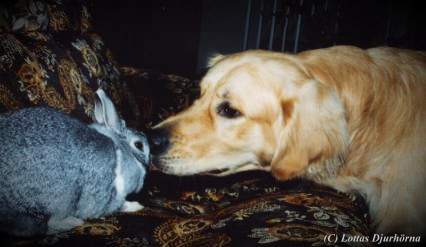 thumbnail of your picture #6