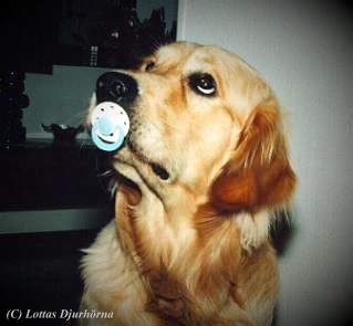 thumbnail of your picture #4