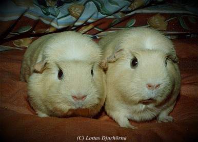 thumbnail of your picture #17