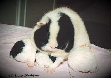 thumbnail of your picture #25