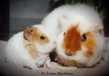 thumbnail of your picture #24