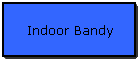 Indoor Bandy