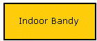 Indoor Bandy